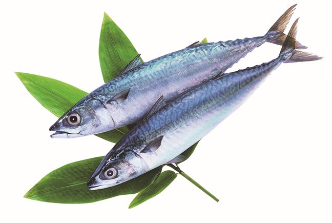 ������~(y��)